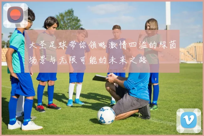 大圣足球带你领略激情四溢的绿茵场景与无限可能的未来之路