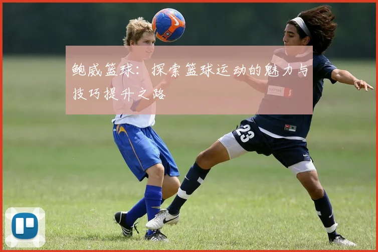 鲍威篮球：探索篮球运动的魅力与技巧提升之路